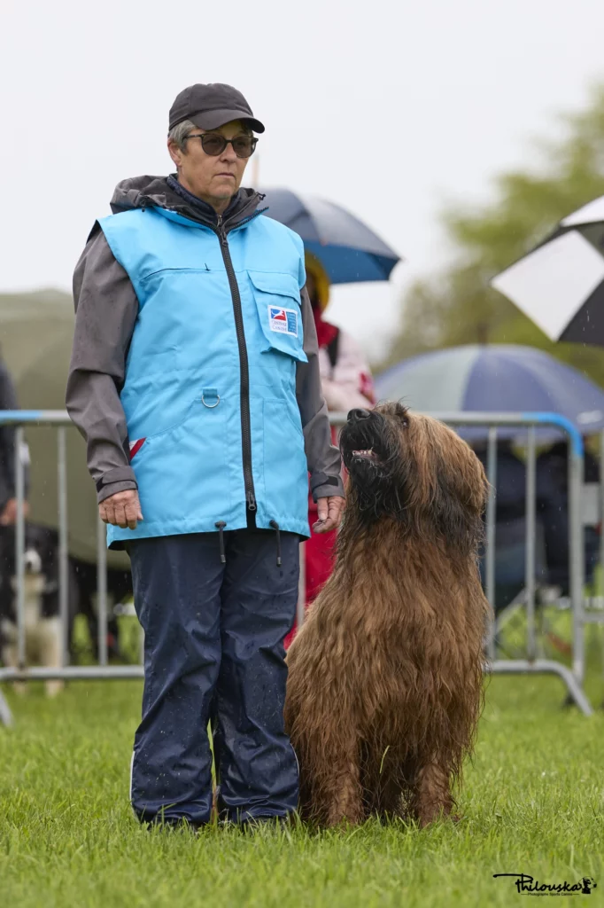 Conducteur avec son chien en position de base
