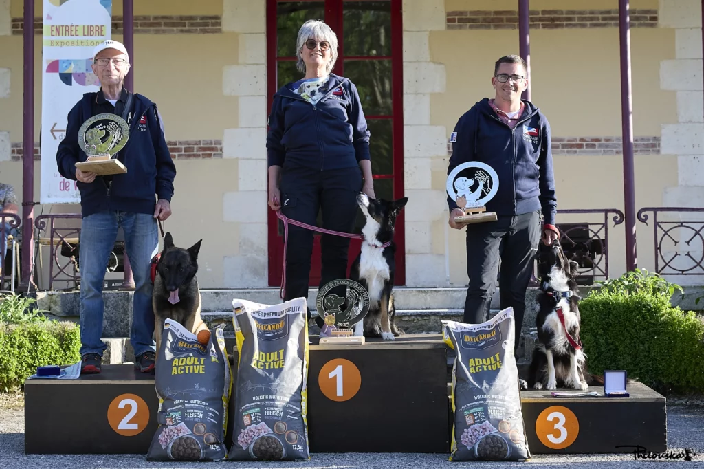 Podium d'un concours d'obéissance canine mettant à l'honneur les maîtres et leurs chiens médaillés.